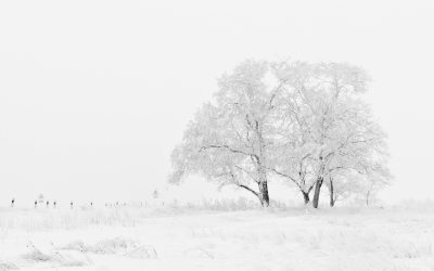 ❄️ Neige, verglas et droits des salariés : ce que vous devez savoir ❄